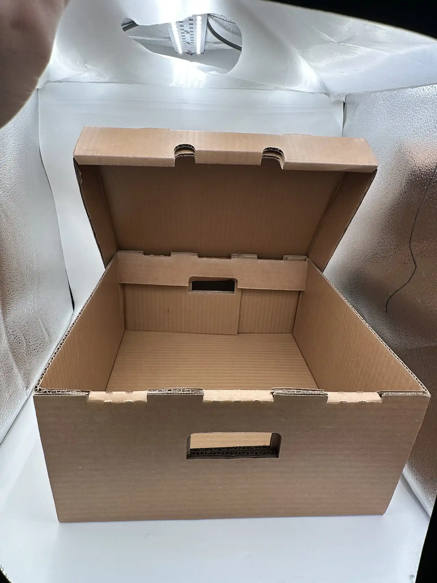 Didelė vaškuota gofruota dėžutė